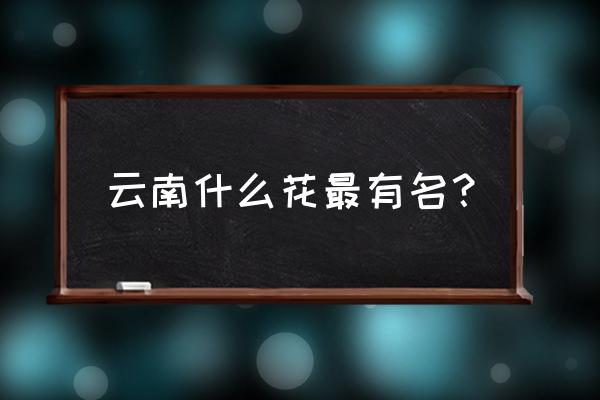 云南著名花卉 云南什么花最有名？