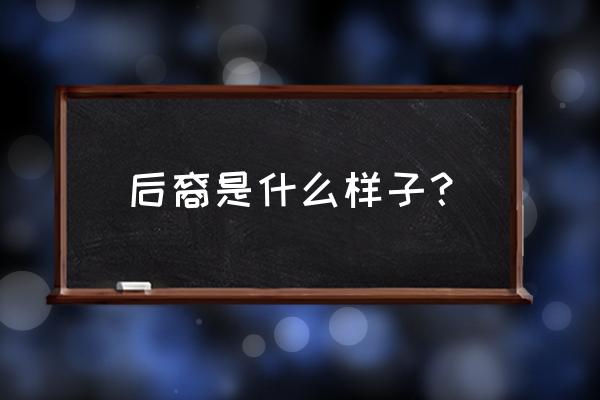 后裔指的是什么意思 后裔是什么样子？