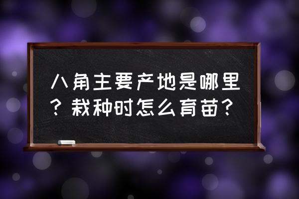 八角产地在什么地方 八角主要产地是哪里？栽种时怎么育苗？