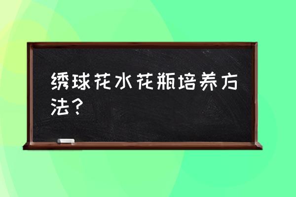 绣球花怎么在花瓶里养 绣球花水花瓶培养方法？