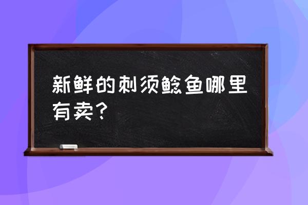 新鲜的刺须鲶鱼 新鲜的刺须鲶鱼哪里有卖？