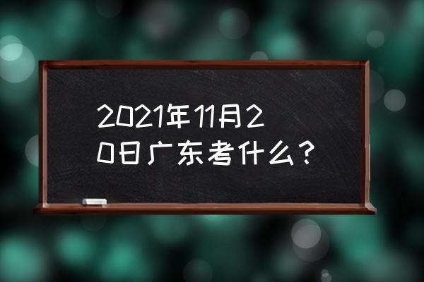 广东省公共营养师 2021年11月20日广东考什么？