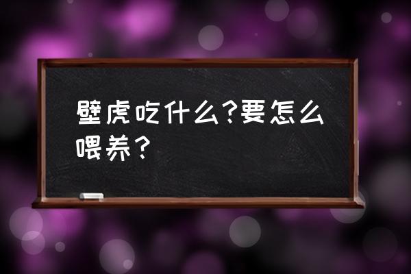 养壁虎给它喂什么吃 壁虎吃什么?要怎么喂养？