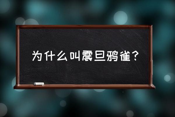 震旦鸦雀 程奋只 为什么叫震旦鸦雀？