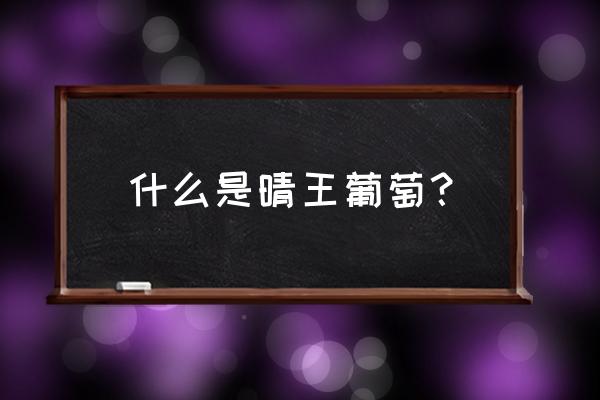 晴王葡萄简介 什么是晴王葡萄？