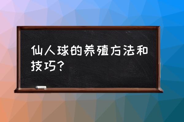 仙人球的养殖方法 仙人球的养殖方法和技巧？