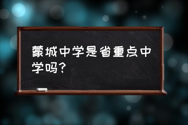 蒙城一中2020一本人数 蒙城中学是省重点中学吗？