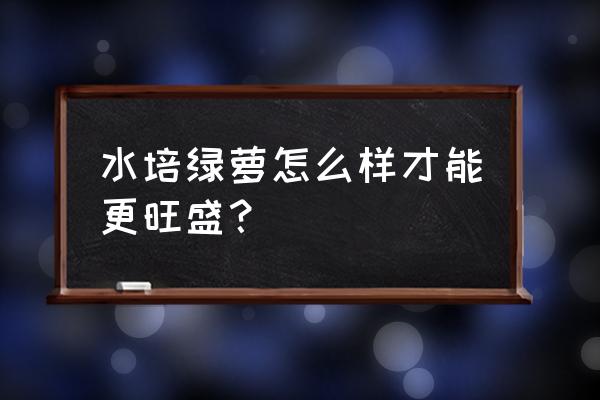 水培绿萝放啥长得快 水培绿萝怎么样才能更旺盛？