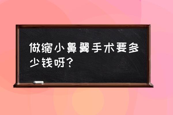 做鼻翼缩小费用多少钱 做缩小鼻翼手术要多少钱呀？