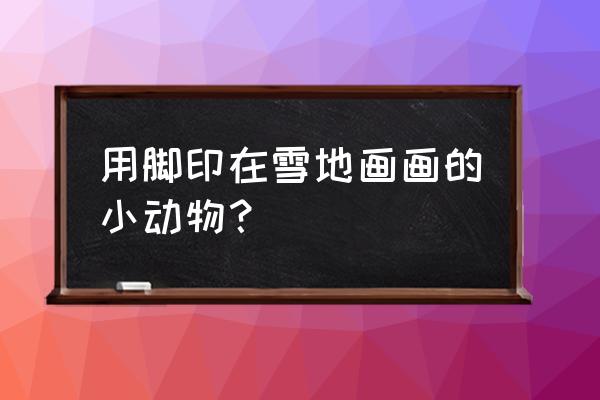 动物在雪地上的脚印 用脚印在雪地画画的小动物？