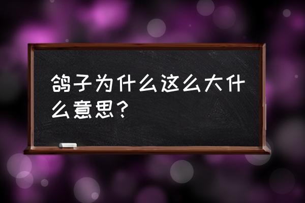 但是鸽子为什么这么大 鸽子为什么这么大什么意思？