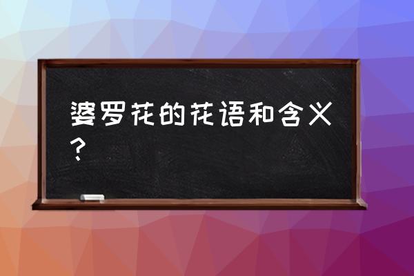 看到优昙婆罗花的人 婆罗花的花语和含义？