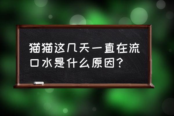 猫大量流口水 猫猫这几天一直在流口水是什么原因？