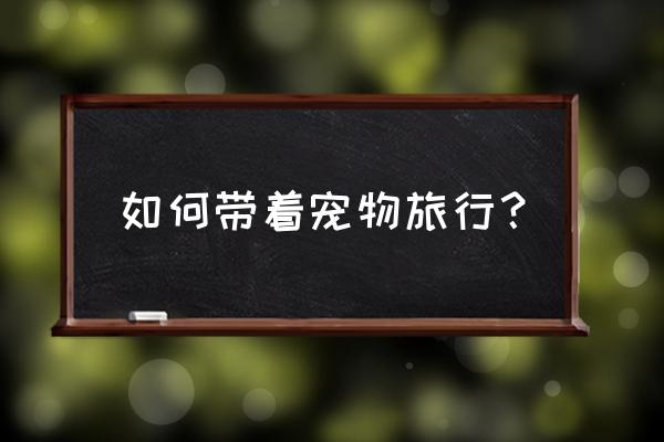 带宠物旅行 如何带着宠物旅行？