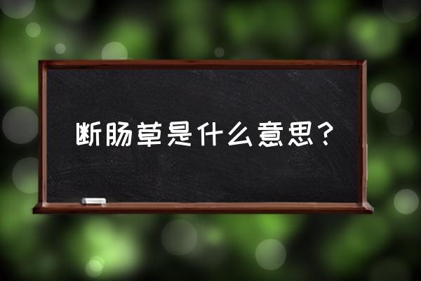 断肠草中毒怎么解毒 断肠草是什么意思？