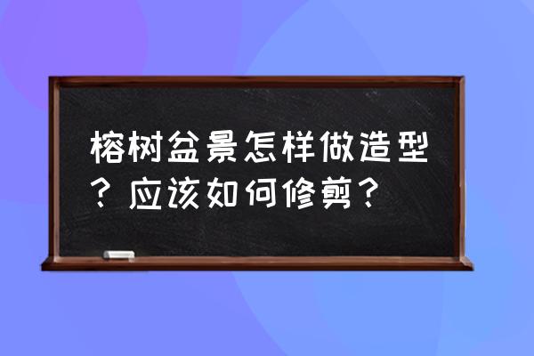 榕树盆景造型 榕树盆景怎样做造型？应该如何修剪？