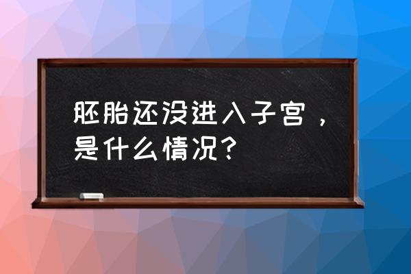 没进去却怀孕了怎么回事 胚胎还没进入子宫，是什么情况？