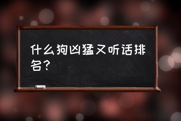 最凶猛的狗排名 什么狗凶猛又听话排名？