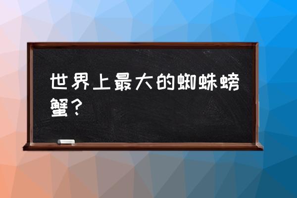 日本蜘蛛蟹有多大 世界上最大的蜘蛛螃蟹？