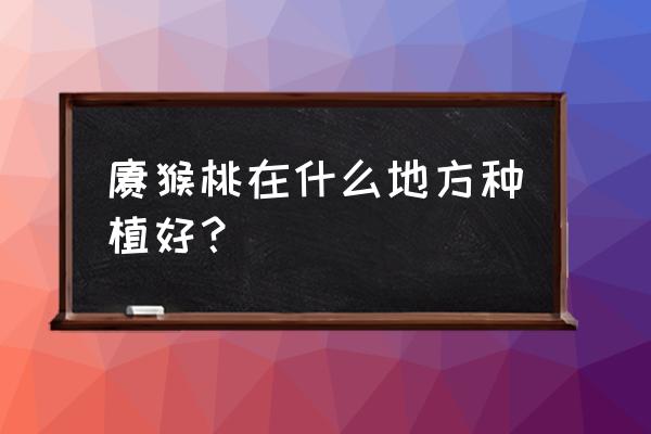 猕猴桃主要产地 猕猴桃在什么地方种植好？