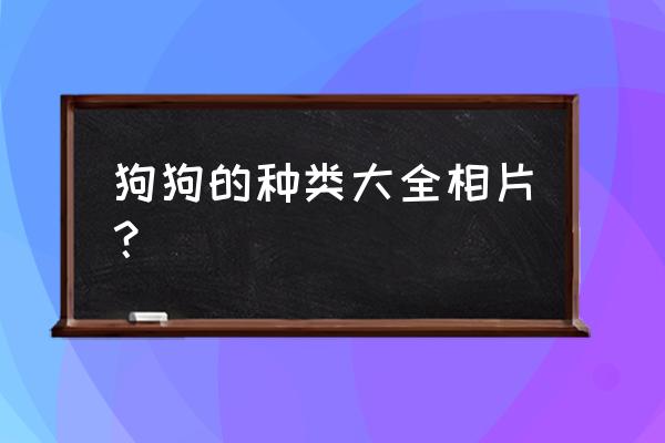 苏俄猎狼犬能看家吗 狗狗的种类大全相片？