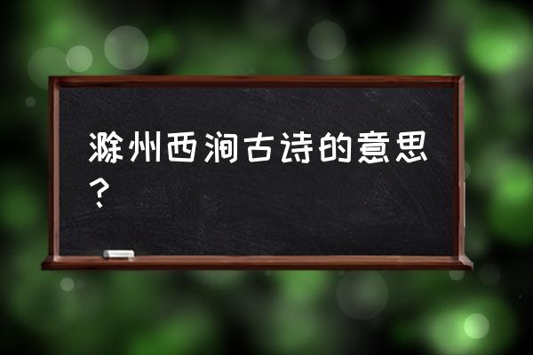 滁州西涧的诗意全解 滁州西涧古诗的意思？