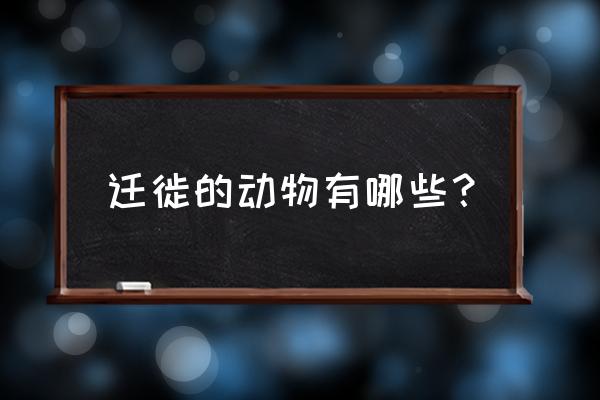 列举几种迁徙的动物 迁徙的动物有哪些？