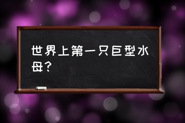 深海巨型水母 世界上第一只巨型水母？