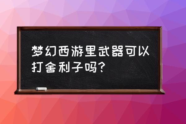 梦幻西游衣服打舍利子 梦幻西游里武器可以打舍利子吗？