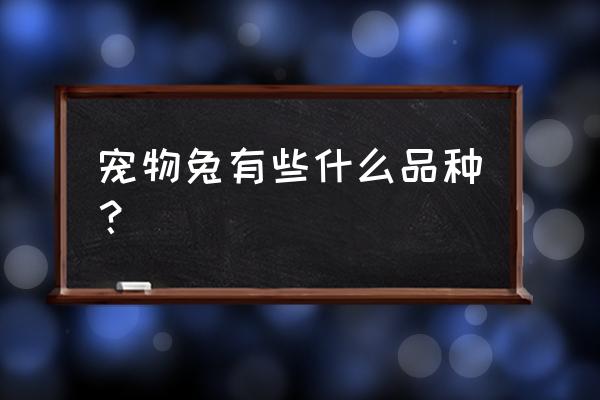 宠物兔的品种 宠物兔有些什么品种？