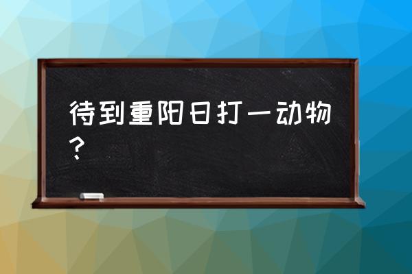 待到重阳日是什么节日 待到重阳日打一动物？