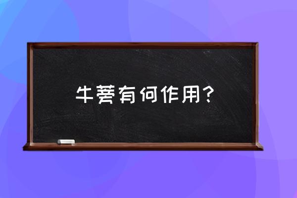 牛蒡是什么有什么功效 牛蒡有何作用？