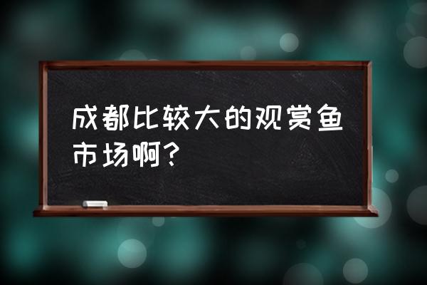 成都海水鱼水族馆 成都比较大的观赏鱼市场啊？