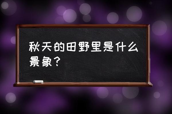 秋天的田野里有什么景象 秋天的田野里是什么景象？