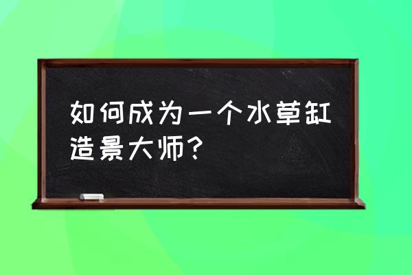 水草造景 大赛作品 如何成为一个水草缸造景大师？