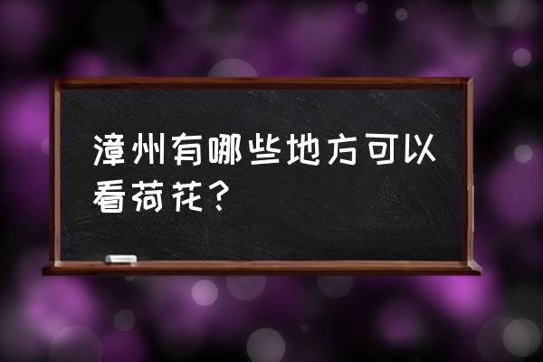 漳州九龙公园有什么特色 漳州有哪些地方可以看荷花？