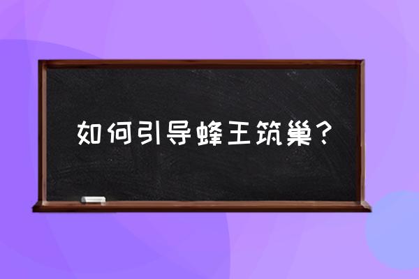 巢作之龙全攻略 如何引导蜂王筑巢？