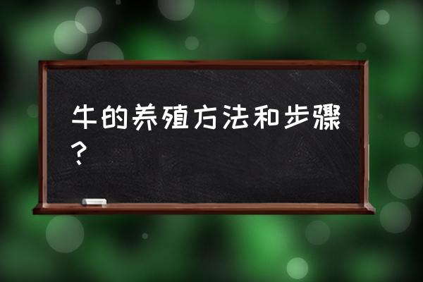 怎样养牛才能养好牛 牛的养殖方法和步骤？