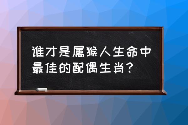 猴的婚配什么生肖最好 谁才是属猴人生命中最佳的配偶生肖？