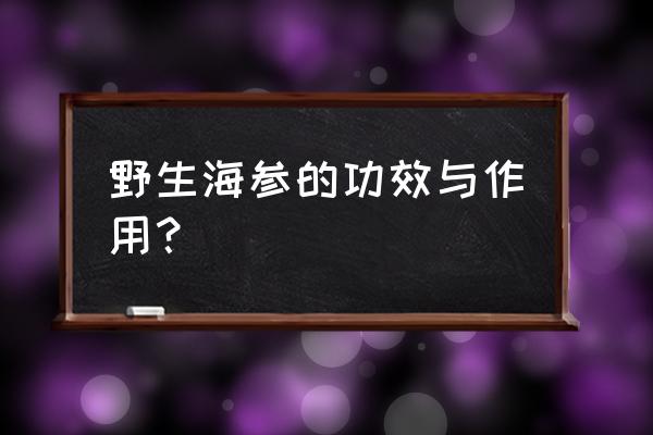 野生海参的功效 野生海参的功效与作用？