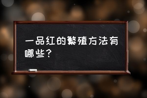 一品红怎么繁殖 一品红的繁殖方法有哪些？