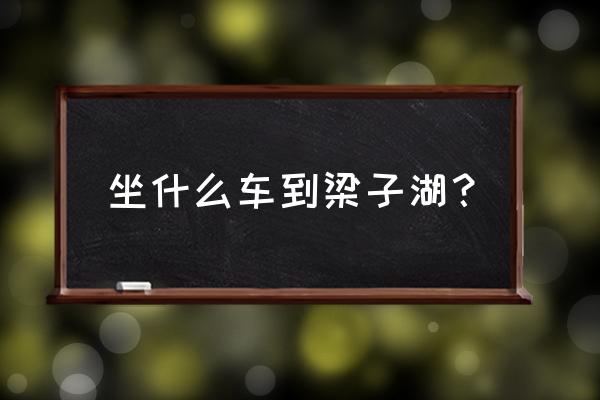 梁子湖龙湾度假村怎么走 坐什么车到梁子湖？