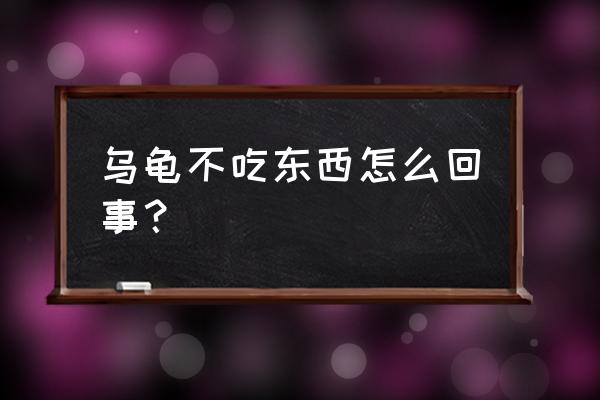 乌龟不吃东西是怎么回事 乌龟不吃东西怎么回事？