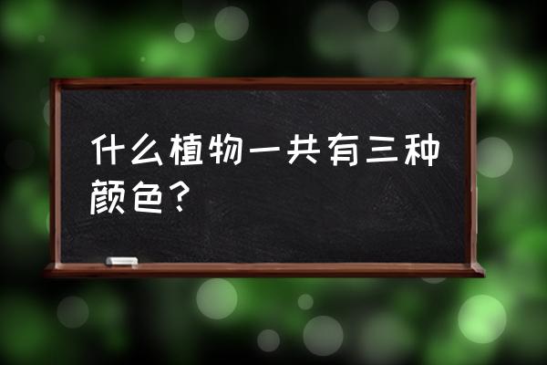 三个颜色的名字 什么植物一共有三种颜色？