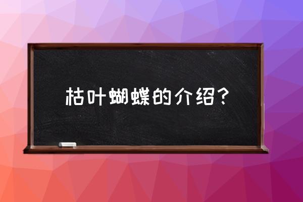 枯叶蝴蝶介绍 枯叶蝴蝶的介绍？