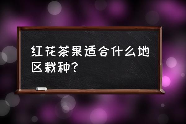 红花油茶对阳光要求 红花茶果适合什么地区栽种？