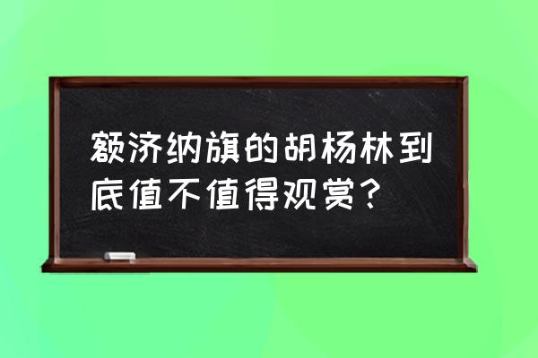 额济纳胡杨林游后感 额济纳旗的胡杨林到底值不值得观赏？