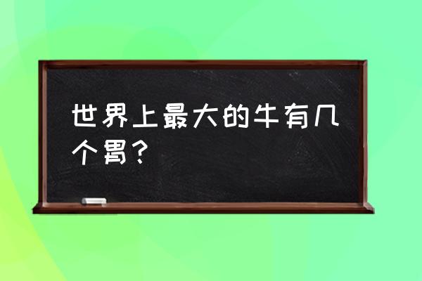 牛最大的胃 世界上最大的牛有几个胃？