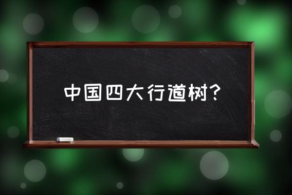 常见行道树 中国四大行道树？