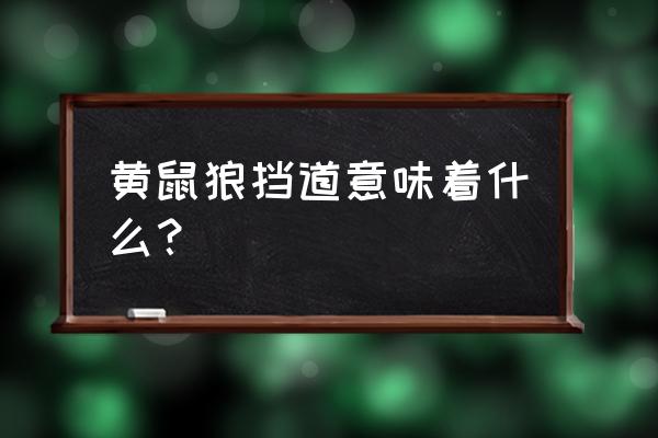 梦见一群黄鼠狼 黄鼠狼挡道意味着什么？